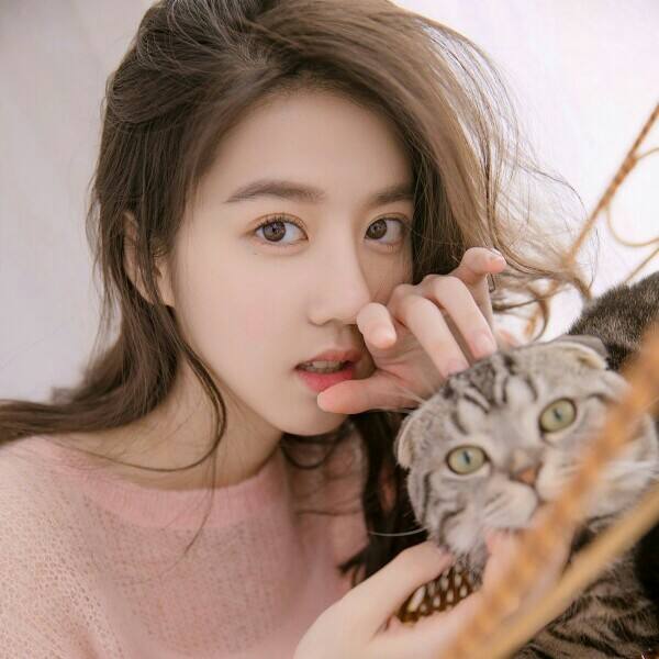 澳门4949资料免费大全截图